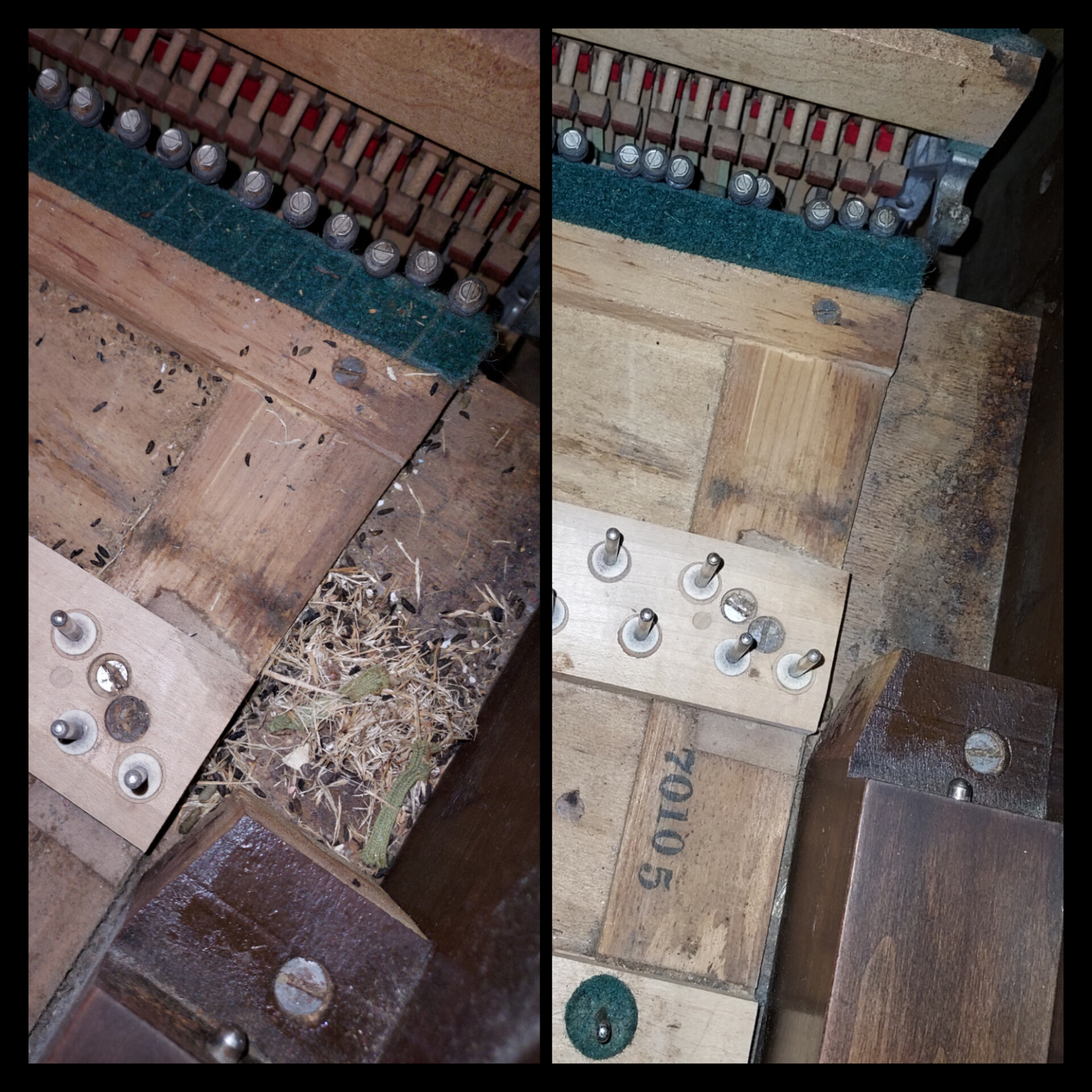 ​Lower Cabinet & Bottom Board Detailing